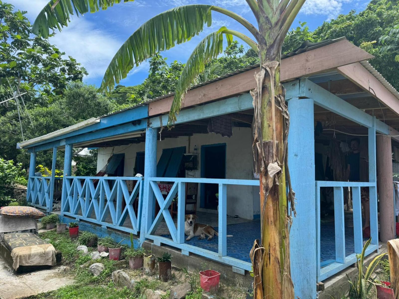Lusis Homestay Lautoka Extérieur photo
